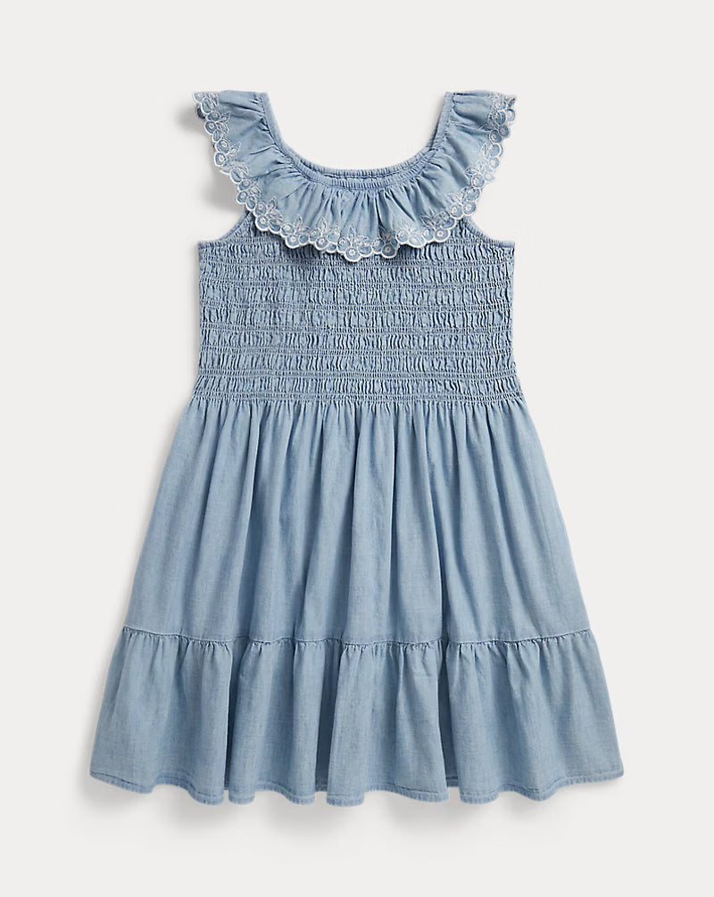 Blueberry-Overlay Indigo Chambray Dress