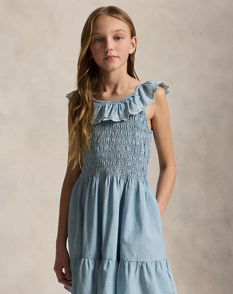 Blueberry-Overlay Indigo Chambray Dress