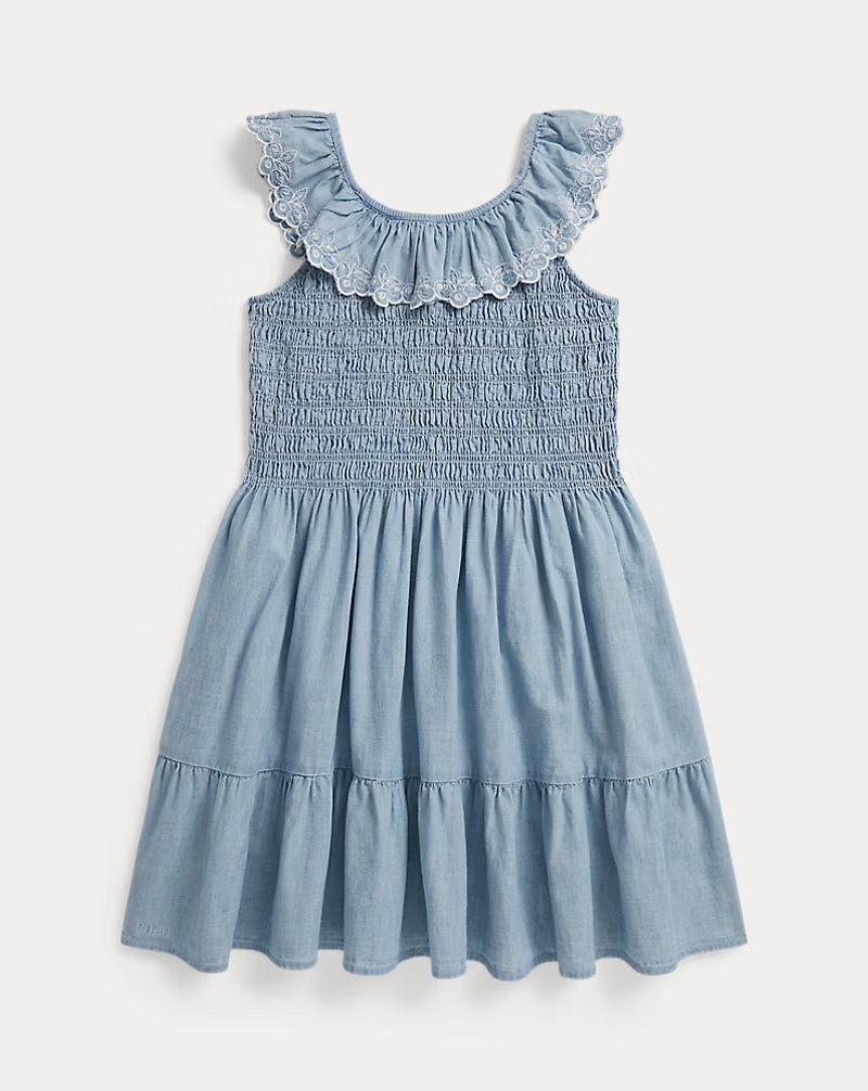 Blueberry-Overlay Indigo Chambray Dress