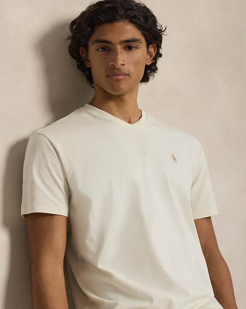 Classic Fit Jersey V-Neck T-Shirt
